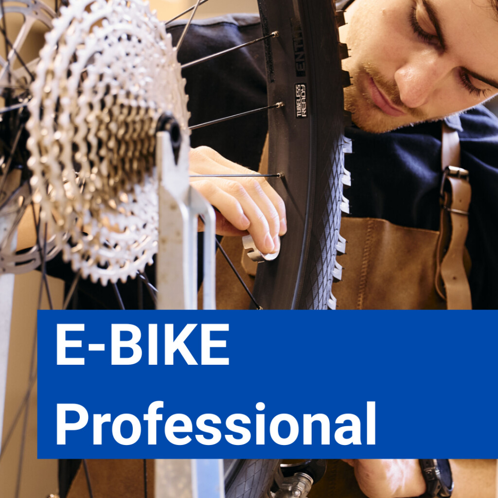 Fokussierter Mechaniker in einer Schürze bei professionellen E-Bike-Reparaturen und -Wartungsarbeiten in einer Werkstatt.